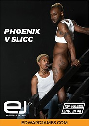 Phoenix v Slicc