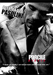 Porcile Pigsty