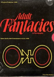 Adult Fantasies 7 - Hot Bitch