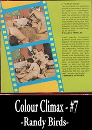 Colour Climax #7 - Randy Birds