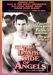 Dark Side Of Angels, The