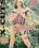 X-Cuts: High Class 4 Vorschau