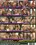 All Shapes, Sizes & Colors Vorschau