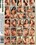 Asian Cougars Vorschau