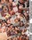 Feed The Models Vorschau