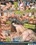 MILF Next Door Vol. 13 Vorschau