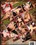 Race Relations 7 Vorschau
