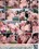 Pretty Plumpers 4 Vorschau