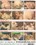 Amazing Asses Vol. 14 Vorschau