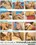 Amazing Asses Vol. 16 Vorschau