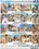 Unplanned Orgies 21 Vorschau