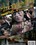 Backseat Banging Vorschau