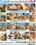 Unplanned Orgies 23 Vorschau