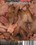 Sperm In My Hole Vorschau