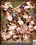 Race Relations 9 Vorschau