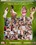 Dominated Housewives Vorschau
