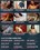 Masturbation Scenes Vorschau