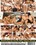 Darkside Orgies Vorschau