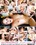 Teens Unleashed Vorschau
