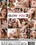 Let Me Blow You Vol. 3 Vorschau