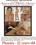 Internet Photo Shoot Volume 356 Vorschau