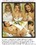Magazine Photo Shoot Volume 178 Vorschau