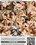 Bushy Babes Vorschau