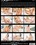 Anal Models Vol. 5 Vorschau