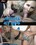 Service My Wife 4 Vorschau