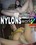 Nylons World 2 Vorschau