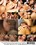 Tokyo Libido Vorschau