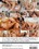 Erotic Awakening Volume Two Vorschau