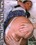 Tight Teen Butthole 2 Vorschau