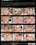 Anal Icons Vol. 4 Vorschau