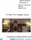 Trans Focus Volume 7 Vorschau