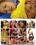 Asian Orgasm Games Vorschau