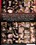 Night Creep 2 Vorschau