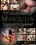 Masqulin Project Vol. 2, The Vorschau