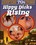 Hippy Dicks Rising Vorschau