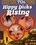 Hippy Dicks Rising Vorschau
