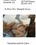 Trans Focus Volume 15 Vorschau