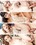 Young Buns 2 Vorschau
