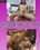 Chicks With Big Tits #2 Vorschau