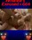 Amateurs Exposed 664 Vorschau