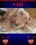 Amateurs Exposed 686 Vorschau