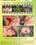 Volume KP 116 - Mindee's First Video Vorschau
