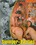 Swinger-Parties Vorschau