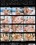 Anal Models Vol. 13 Vorschau