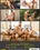 Tropical Getaway Vol. 2 Vorschau