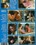 Blue Heat Vorschau